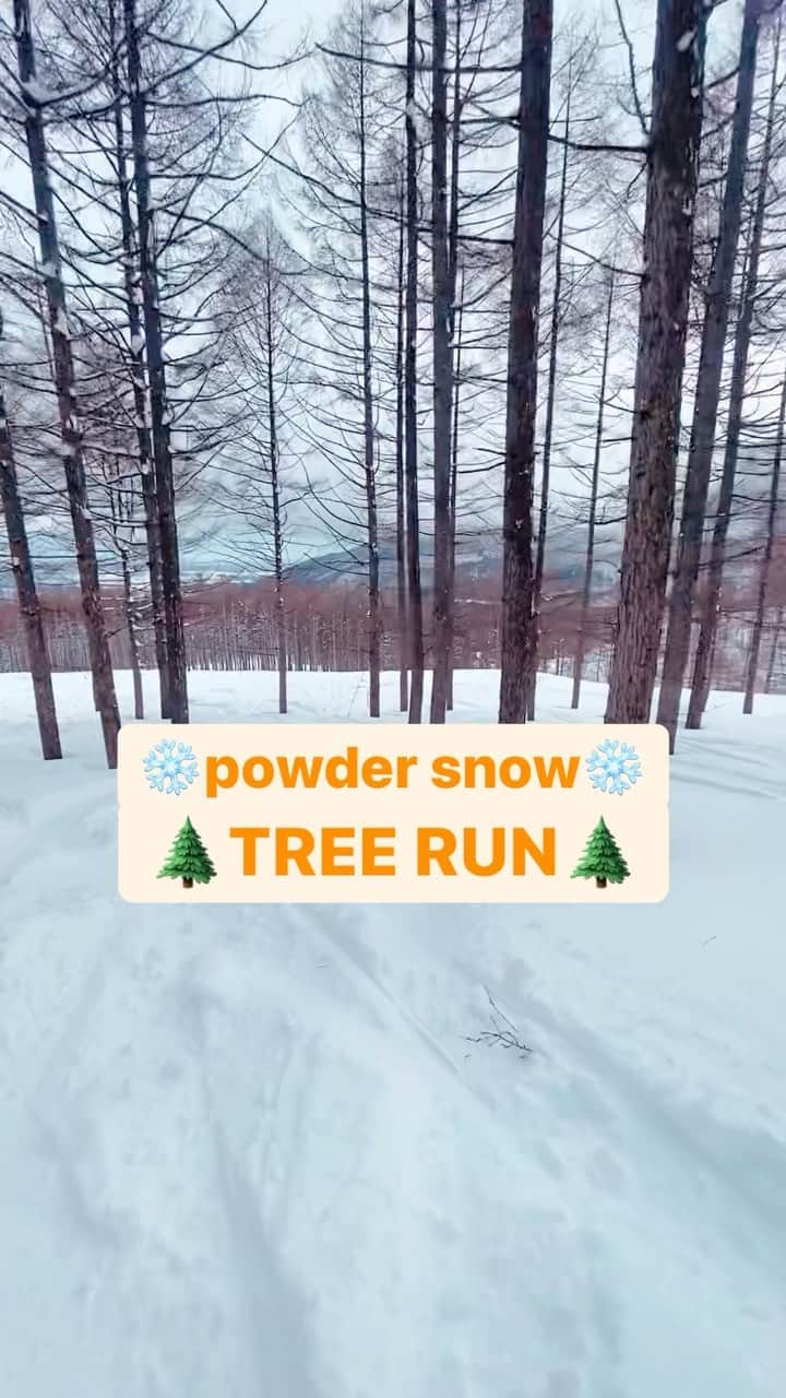 のインスタグラム：「THE DAY🔥 パウダーでツリーラン🌲🏂 天気も良くて最高だ✨🐶  #snowboarding #snowboard #スノボー #スノーボード #ツリーラン #treerun #powdersnow」