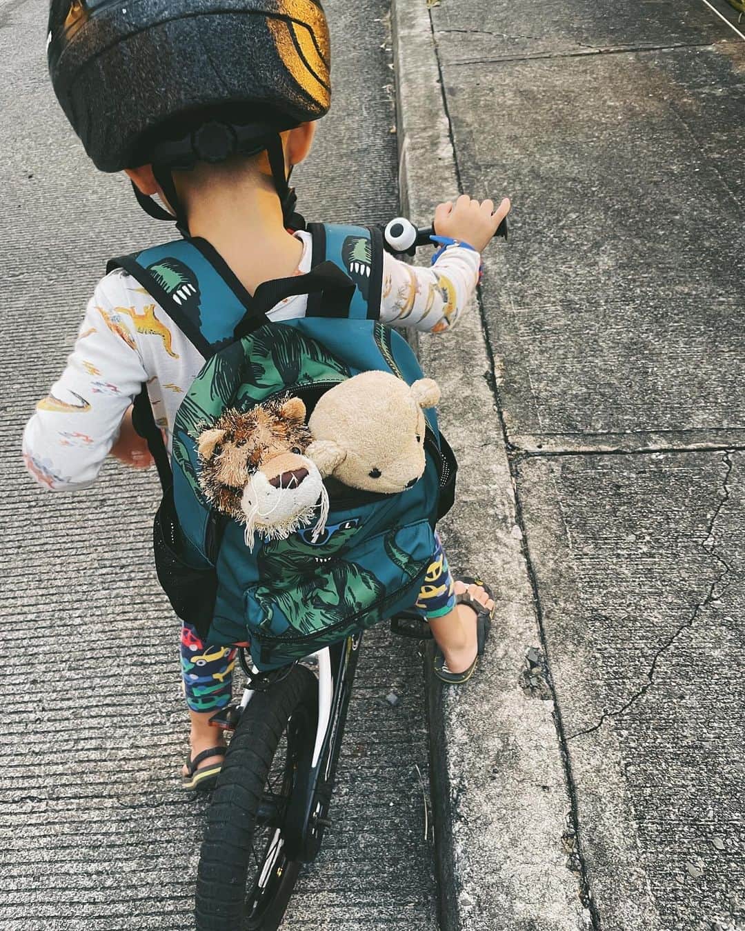 吉川ひなのさんのインスタグラム写真 - (吉川ひなのInstagram)「息子がクラスメイトの女の子から（なぜか）預かってるライオン🦁さん？トラ？をお返しするまでちゃんとテイクケアしなきゃと、自分のクマさんと一緒に散歩に連れて行きました。  子どもの世界は夢の国🦁👦🏻🐻  コーディネートがまたすごい 自由」1月15日 15時50分 - hinanoyoshikawa