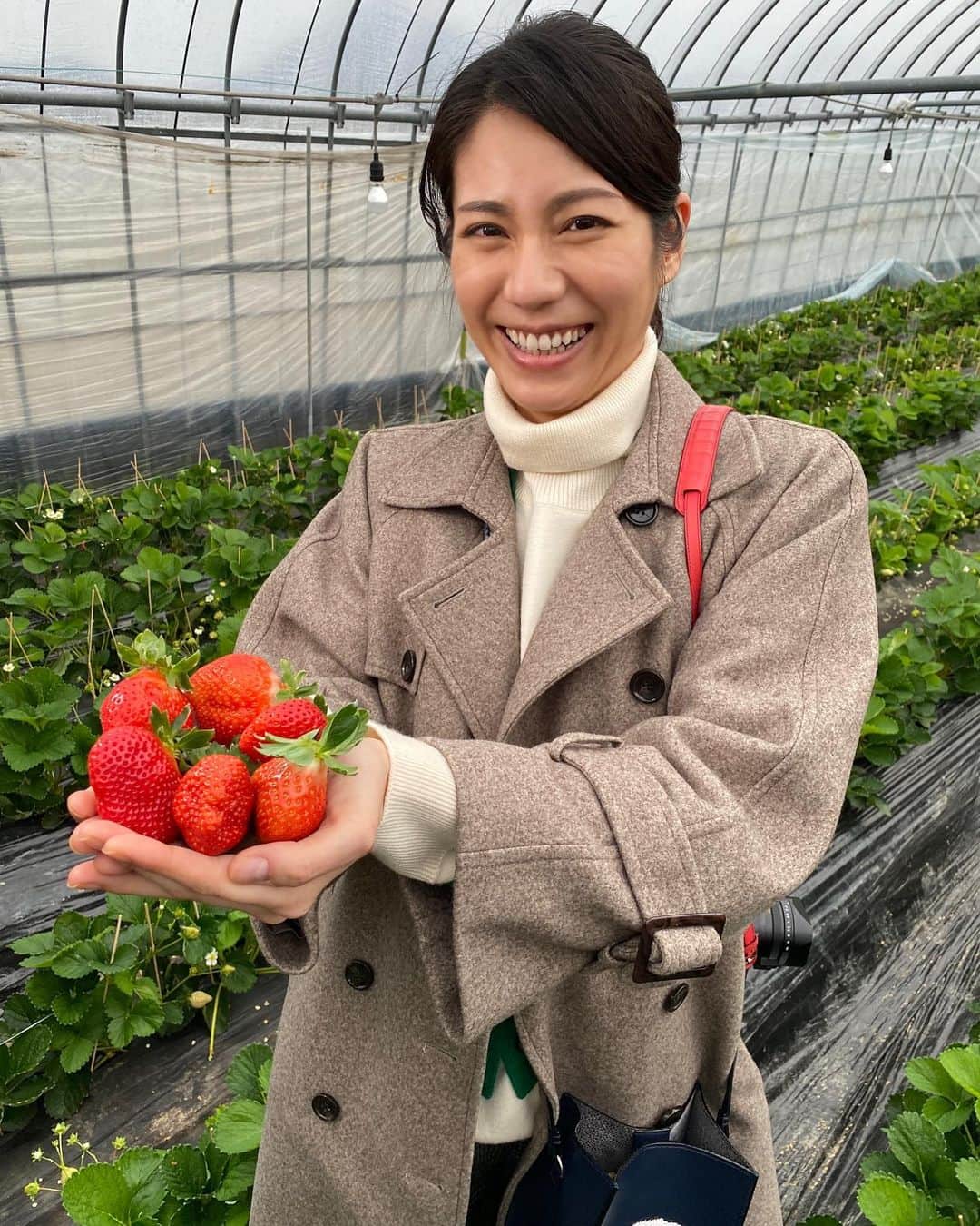 松下奈緒のインスタグラム