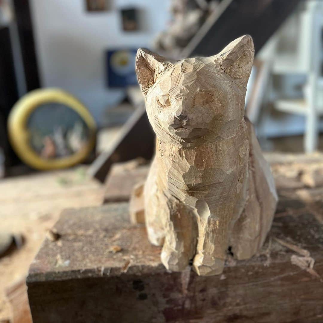 はしもとみおさんのインスタグラム写真 - (はしもとみおInstagram)「日間賀島で出会った子猫ちゃん。 集中して一日があっという間。 気配のようなものを大切に、日々出会った子たちを日記のように残せたらと。  #子猫 #日間賀島 #cat #catstagram #woodworking #woodcarving」1月15日 17時18分 - hashimotomio