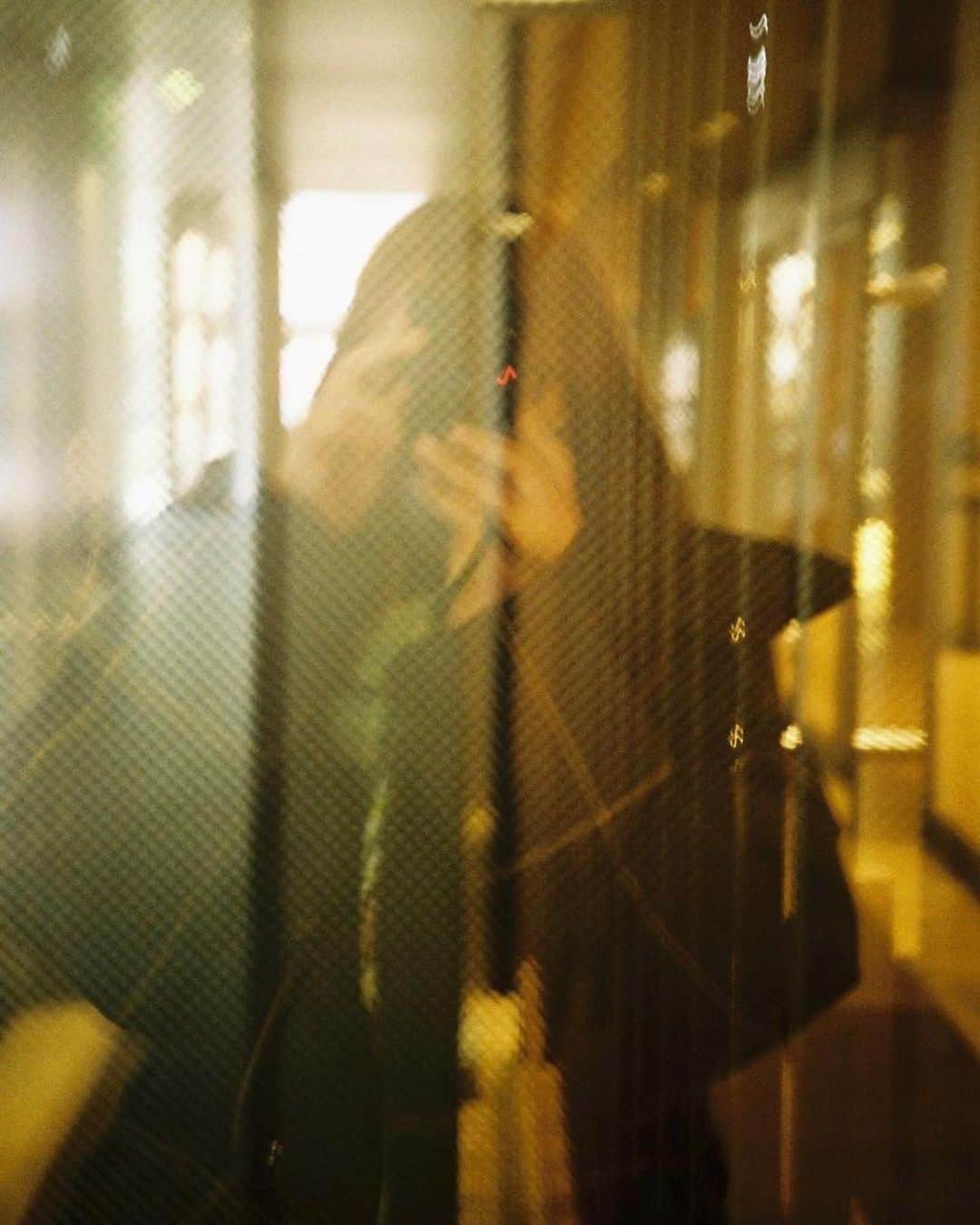 渥美友里恵のインスタグラム：「年末から撮っていたフィルムたち🎞 ちゃんとデータになっているかどうかドキドキしてしまう… ⁡ まだ焦点を合わせるのが難しく、勉強中です ⁡ あとはブッラータチーズのカプレーゼ（写真5枚目）やリコッタチーズのサラダ…と チーズブームが最近はきています🫕 オシャレな響き！でも簡単！ありたがたい！ まだまたチーズブームは続きそう ⁡ ⁡ そんな1月です 体調に気をつけていきましょうね☺︎ ⁡  #filmcamera  #フィルムカメラ」