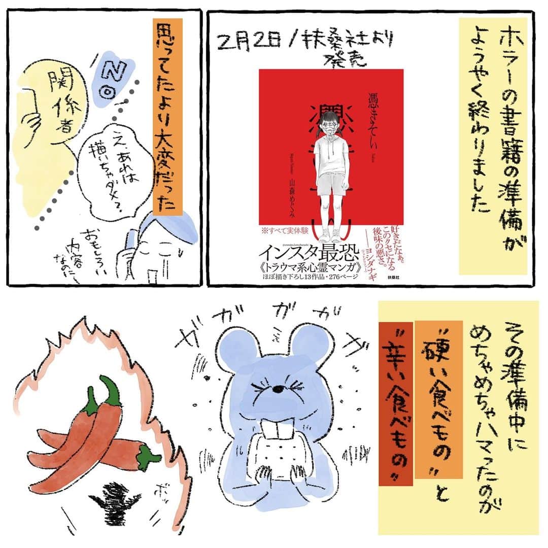 山森めぐみのインスタグラム