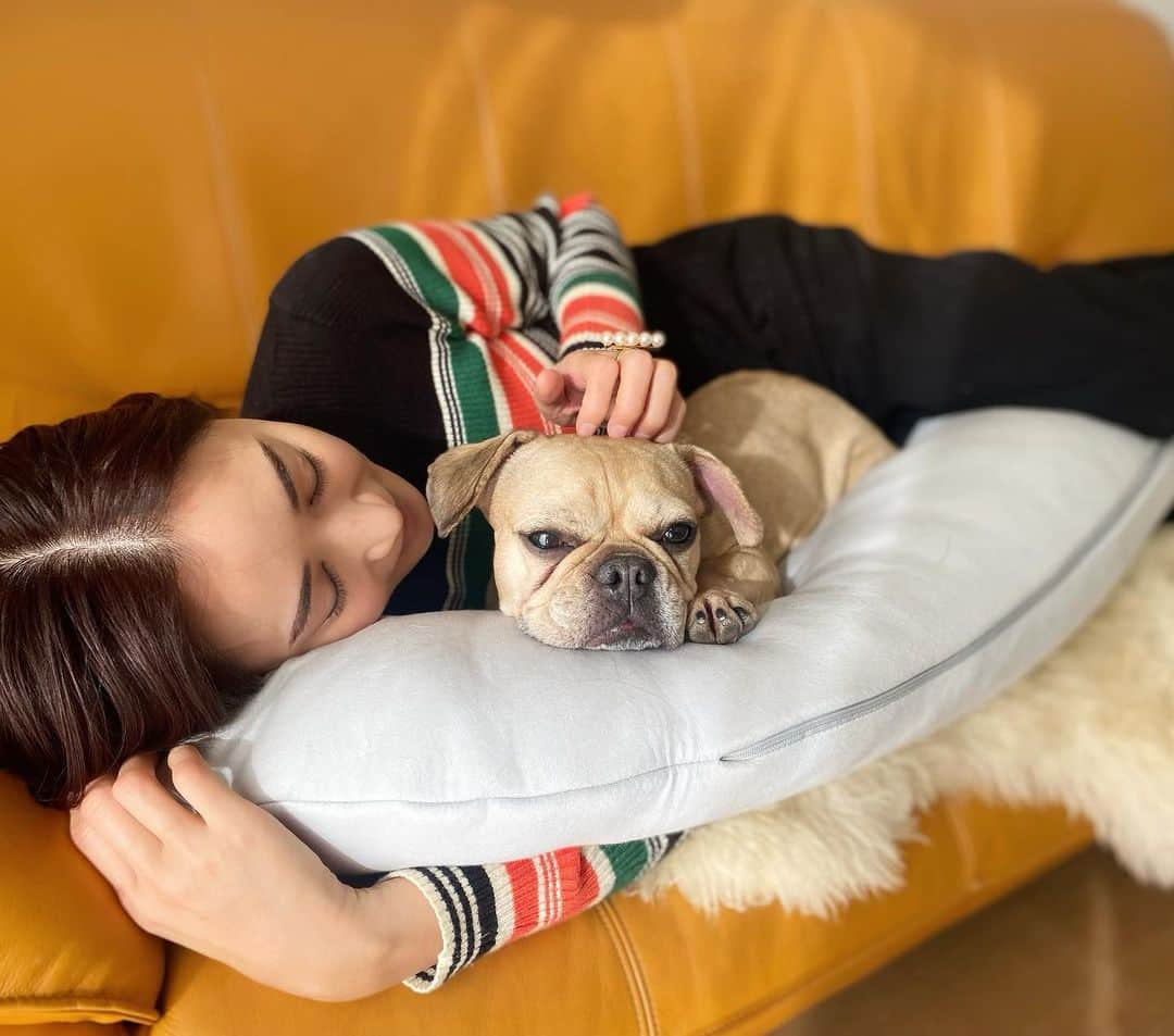 桐山マキさんのインスタグラム写真 - (桐山マキInstagram)「siesta🤤  私の一番の幸せ時間♡  帰宅したら 愛犬達をワシャワシャ♡  ワシャワシャタイムが 終わったら それぞれの持ち場へ 小春さんとココワカメさんは解散していきます。  おーぃ！ 最高な抱き枕で 皆でゴロゴロしよーよー！ おっかさんの願い🤲  皆さん ご機嫌さんの時は ここでギュウギュウで昼寝してます☺︎  昼寝love♡  抱き枕は私の相棒です。 @brainsleep_official  #japan #sleep #love #brainsleep  #dog #rescuedog  #family  #犬好き #寝る事をこよなく愛す #家族 #昼寝ラブ #愛犬達 #昼寝の幸せ #美容 #お肌 #寝る事 #♡」1月16日 1時54分 - maki_kiriyama