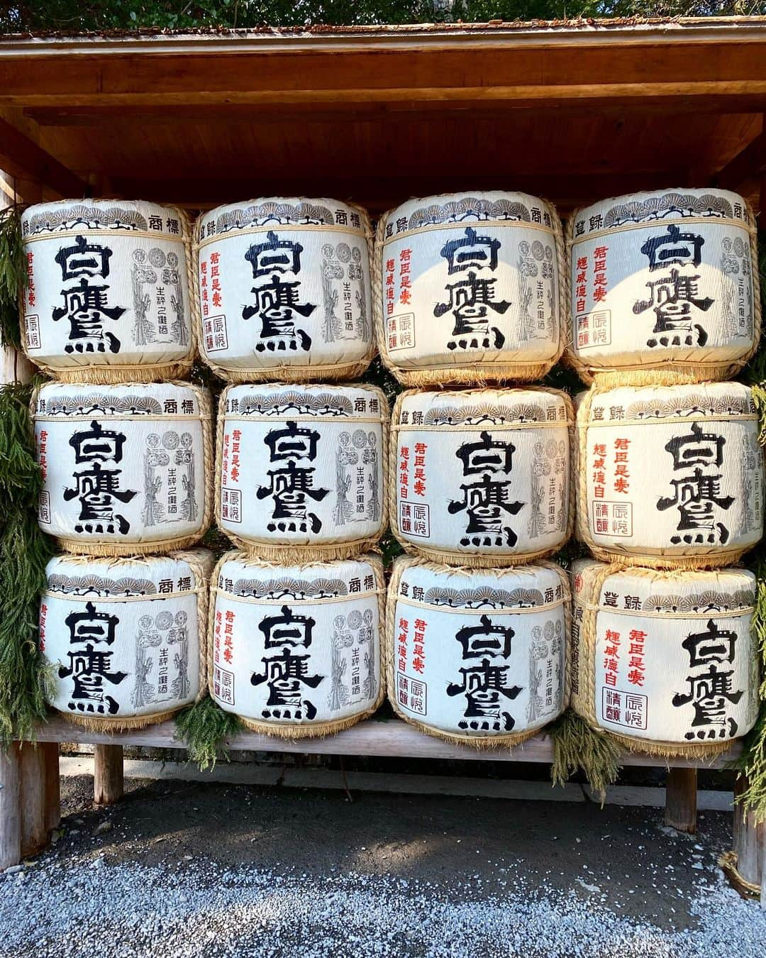 濱野りれさんのインスタグラム写真 - (濱野りれInstagram)「Ise Jingu⛩ A shrine in Mie prefecture that I go to see every year. I love the moment when I walk on the gravel road. That makes me comfortable and cozy. I prayed for me and my family's health just like every other year.🙏♥️  . 毎年ご挨拶にきてる伊勢神宮へ。 正宮までの砂利の音がすごく好きで、歩くたびに心が洗われていく気がする🥰 今年は大事な年なのでご祈祷も一緒に。今年も大切な人たちが健康でいられますように🙏  #ise #isejingu #shrine #japaneseshrine #naturalenergy #energyhealing #selfcare #healing #healingjourney #jinja #mie #mieprefecture #伊勢神宮 #伊勢 #初詣 #三重」1月16日 9時32分 - riregram