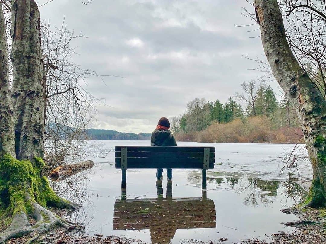 横井玲のインスタグラム：「The last adventure of the island was a special foggy hiking🌫 Water and plants were holding a wonderful art exhibition for free🌨🌿🌲  最後のハイキングは、霧がかる湖へ。 雪解け水と植物たちが、素敵なアートをたくさん見せてくれました。 カナダに来て以来一番辛かったと言っても過言ではないこの4ヶ月、よく持ち堪えたと自分を労いながら、のんびりと10km。 ご褒美も疲れることになりがち。  #canada #victoria #lake #hiking #walking #art #reflection #naturelovers #beactive #fog #cloudy #journey #metime #beautifulnature #naturalart  #ハイキング #霧 #湖 #鏡池 #お疲れ様会 #また頑張る」