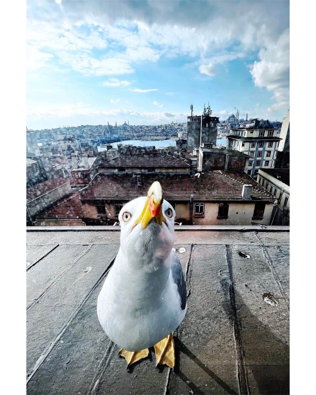 Mustafa Sevenのインスタグラム