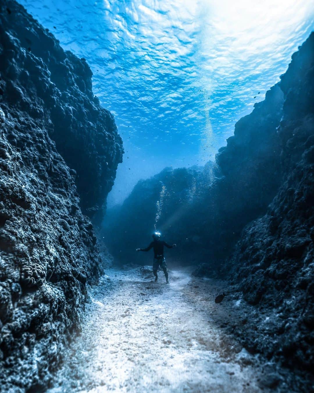 H I R O M I M O R I Y Aのインスタグラム：「🧜🏿‍♂️🧜🏿‍♂️🧜🏿‍♂️  早く海に入りたーい🌊！  Camera:sony a7iii Lens:14-24 sigma DG DN Art  #underwaterphotography #paditv #underwater  #underwaterlife #scubadiving #earthshotz #planetearth  #freediving #freedivephotography #sonyalpha #alpha_newgeneration_bysony  #ダイビング　#ダイビング好きな人と繋がりたい #宮古島ダイビング　#宮古島　#スキンダイビング  #水中写真　#自由潛水　#海好きな人と繋がりたい　#八重干瀬　#魔王の宮殿　#潛水　#宮古島ダイビング」