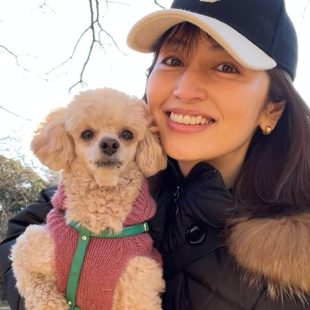 矢田亜希子さんのインスタグラム写真 - (矢田亜希子Instagram)「お散歩♪ #お散歩#toypoodle #トイプードル #labradorretriever #lab#ラブラドールレトリバー #愛犬#犬友#癒しわんこ」1月16日 19時22分 - akiko_yada