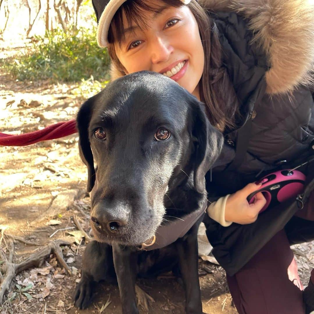 矢田亜希子のインスタグラム