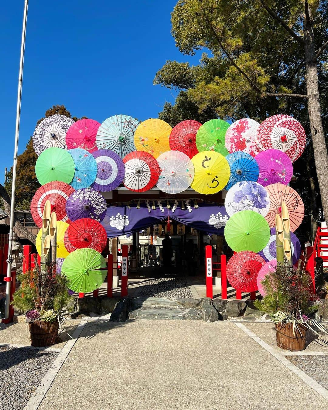 沢井里奈さんのインスタグラム写真 - (沢井里奈Instagram)「⠀ ⠀ 別小江神社⛩✨ 　 カラフルな和傘が華やかで とっても綺麗でした☂️💐 　 クリア御朱印も可愛かった📔🌸 　 　 #さわーコーデ 👗🌿 　 clothes♡ #Rirandture shoes♡ #DIANA bag♡ #ysl 　 　 #別小江神社 #さわー神社巡り」1月16日 19時45分 - sawairina