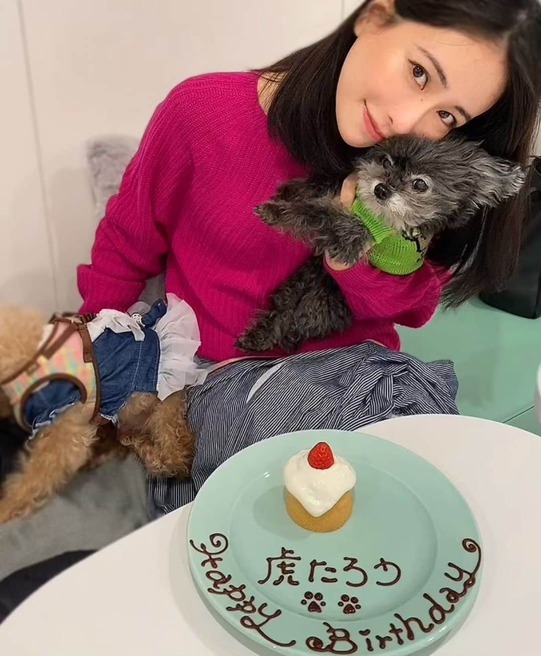 神室舞衣さんのインスタグラム写真 - (神室舞衣Instagram)「スーパーシニア犬🐶💞🧁💚」1月16日 19時39分 - maikamuro.official