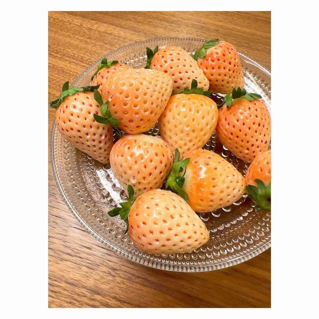 森麻季のインスタグラム：「白いちご🍓  #淡雪 #ふるさと納税」