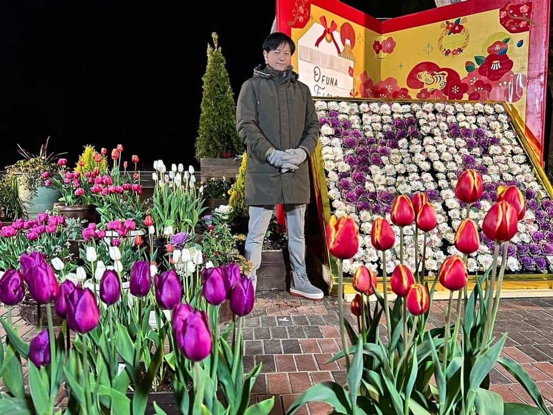 依田司さんのインスタグラム写真 - (依田司Instagram)「1月17日(月) 神奈川県鎌倉市の「大船フラワーセンター」から。真冬の今の時期に鮮やかなお花が見たくてやってきました。 まずは、300本のアイスチューリップがお出迎え。真冬に春のお花が見られるなんて得した気分。そして、温室には暖かい時期に花を咲かせるブーゲンビリア（ブーゲンビレア）が見ごろとなっています。温室といっても暖房は入っておらず朝の気温はわずか3℃。樹齢30年超えでわさわさ生い茂っているため、土の温度が下がらないのが理由と推測されています。非常に珍しく同業者も視察に訪れるほどなんだとか。 外は−4℃〜−5℃の冷え込みで、芝生は一面真っ白。シモバシラの茎に氷の結晶がびっしり付いて、まさに霜柱のようでした。  #ブーゲンビリア#大船フラワーセンター  #DoCLASSE #ドゥクラッセ #依田さん #依田司 #お天気検定 #テレビ朝日 #グッドモーニング #サタデーステーション #気象予報士 #お天気キャスター #japan #japantrip #japantravel #unknownjapan #japanAdventure #japanlife #lifeinjapan #instagramjapan #instajapan #療癒 #ilovejapan #weather #weathercaster #weatherforecast」1月17日 9時07分 - tsukasa_yoda