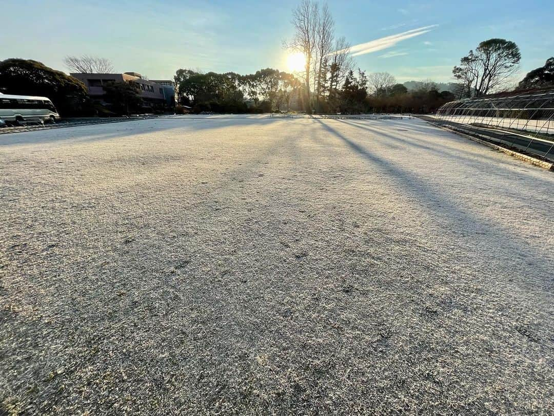 依田司さんのインスタグラム写真 - (依田司Instagram)「1月17日(月) 神奈川県鎌倉市の「大船フラワーセンター」から。真冬の今の時期に鮮やかなお花が見たくてやってきました。 まずは、300本のアイスチューリップがお出迎え。真冬に春のお花が見られるなんて得した気分。そして、温室には暖かい時期に花を咲かせるブーゲンビリア（ブーゲンビレア）が見ごろとなっています。温室といっても暖房は入っておらず朝の気温はわずか3℃。樹齢30年超えでわさわさ生い茂っているため、土の温度が下がらないのが理由と推測されています。非常に珍しく同業者も視察に訪れるほどなんだとか。 外は−4℃〜−5℃の冷え込みで、芝生は一面真っ白。シモバシラの茎に氷の結晶がびっしり付いて、まさに霜柱のようでした。  #ブーゲンビリア#大船フラワーセンター  #DoCLASSE #ドゥクラッセ #依田さん #依田司 #お天気検定 #テレビ朝日 #グッドモーニング #サタデーステーション #気象予報士 #お天気キャスター #japan #japantrip #japantravel #unknownjapan #japanAdventure #japanlife #lifeinjapan #instagramjapan #instajapan #療癒 #ilovejapan #weather #weathercaster #weatherforecast」1月17日 9時07分 - tsukasa_yoda