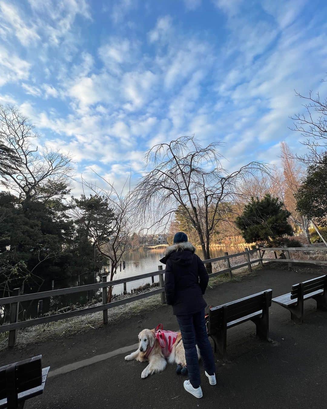 高橋ひとみさんのインスタグラム写真 - (高橋ひとみInstagram)「おはようございます☀ 今朝のお散歩🐾 お散歩コースの公園には色々な鳥🦆がいて、季節を感じることが できます。 お友達のナナちゃんのモグモグタイムを見守るももえでした😊 ナナちゃん、 『ナイスキャッチ👏』」2月15日 7時51分 - hitomi_momoe