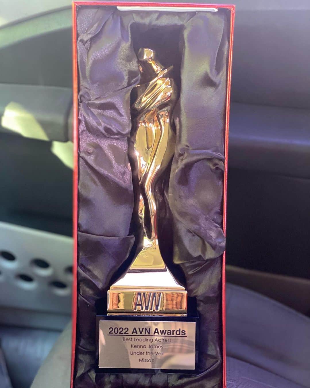 ケナ・ジェームスのインスタグラム：「Thank you again to everyone who voted for me this year! It’s so very much appreciated! And a big thank you to Missa X and Ricky Greenwood!  It’s always a pleasure to work with you!」