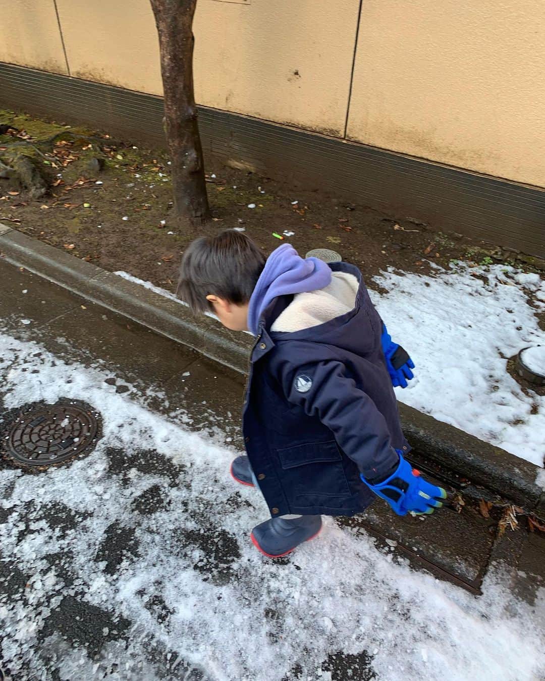 小倉優子さんのインスタグラム写真 - (小倉優子Instagram)「朝起きたら、 雪が積もっていなくて がっかりしていた子供達❄️  朝ご飯を食べたら、残ったら雪で遊んでいます✨✨  本当に朝から元気です笑💕」2月11日 8時32分 - ogura_yuko_0826