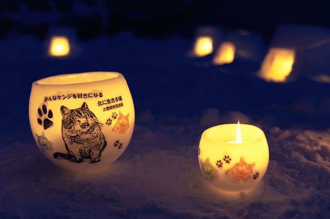 土肥美帆さんのインスタグラム写真 - (土肥美帆Instagram)「😸 ・ 小樽雪あかりの路24 2022.2.11（金）〜13（日） 3日間、お家であかりを灯してみませんか？想いを灯そう、あかり大作戦。 に自主参加😂 私の愛する猫の浜を会場に、 杉本さんと漁師さんと一緒にあかり灯します。 @otaru.jin.z   私の想いは猫と灯りを一緒に撮る😹 猫達が非日常の光景に不信感をつのらせ、全然撮れない🤣🤣🤣 ダッシュだけギリ撮れた！！ まさかのおっぱは逃げて、自分で小屋の扉を開けてインハウス😹 他の猫達は気配さえ消してました。  明日は真打ち登場✨ さすがの彼は素晴らしかった。 みんなをうーん。と唸らせてました。  真打ち？誰のことだべか？(=-ω-=)  雪あかり、楽しい( › ·̮ ‹ )  #みんなケンジを好きになる #みんな小樽を好きになる #雪あかりフォトコン2022 #小樽美術館で写真展開催中 #ケンジdeゲンキ #いつも心にケンジを #bigboss #推しのいる生活」2月11日 10時29分 - big_face_cat_kenji
