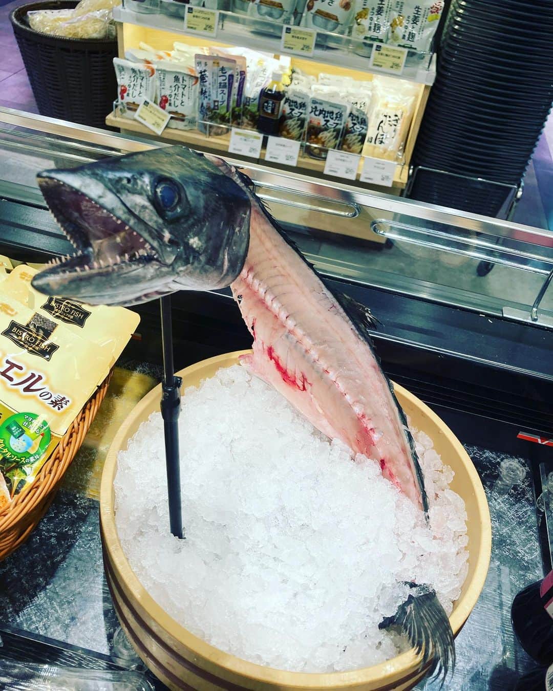 のインスタグラム：「用事のついでに普段行かないスーパーに入ってみたらものすごい展示のされ方がありました。  この子を捌きました！と言わんばかりに。  めっちゃ新鮮なのが伝わってきますね。  #このあとこの子は出汁になるのかしら #子供たちはツンツン欲我慢できなそう #うちは奇跡的にツンツンしようとしなかった #ふー」
