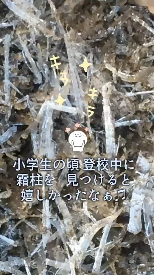 花原あんりのインスタグラム：「霜柱(*´꒳`*)♡」