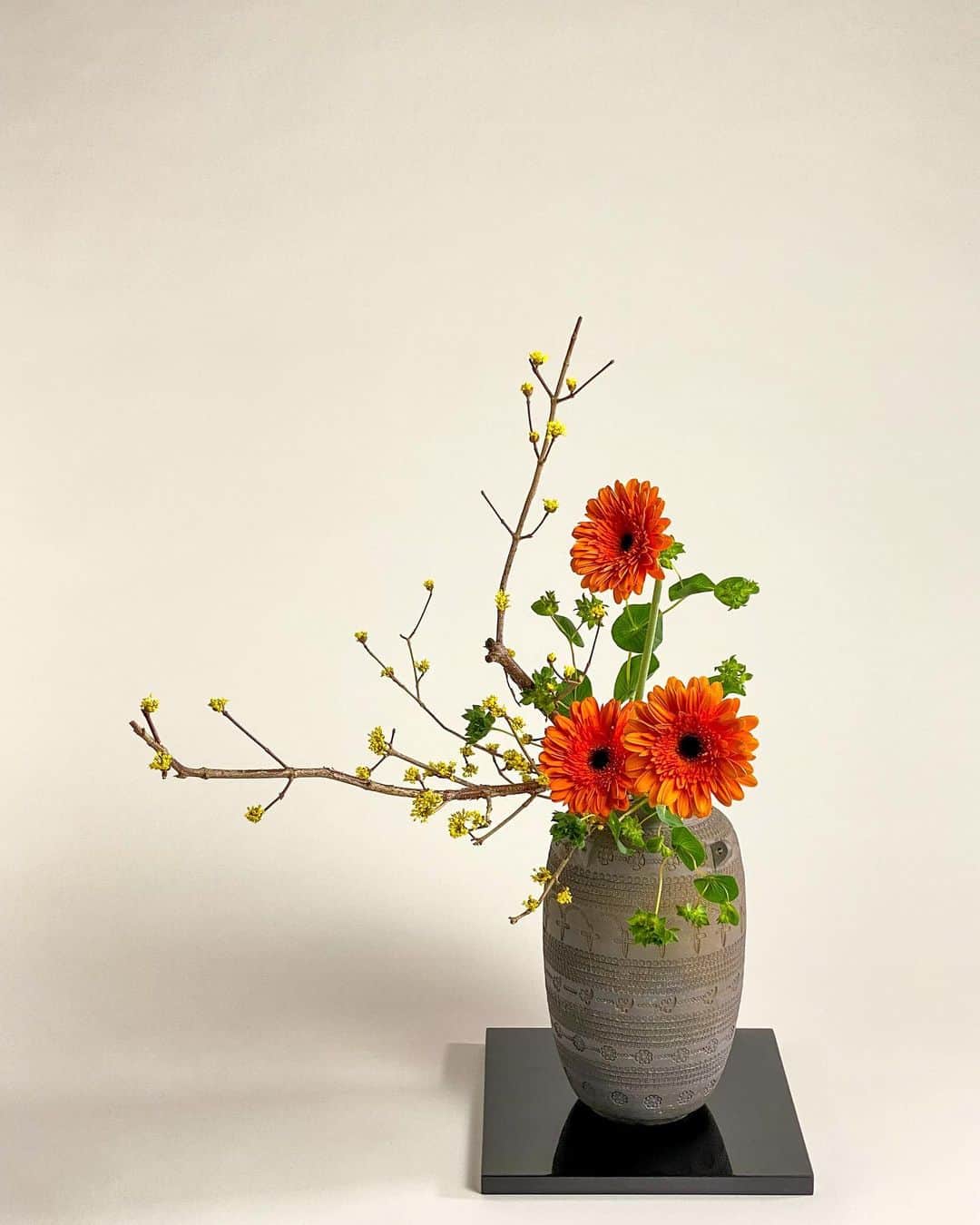小原宏貴さんのインスタグラム写真 小原宏貴instagram 山茱萸 ガーベラ ブプレウルム Cornusofficinalis Gerbera Bupleurum 瓶花 傾斜型 花の時期には春黄金花 実の時期には秋珊瑚 素敵なあだ名が付いている反面 漢字がスラスラと思い出せない