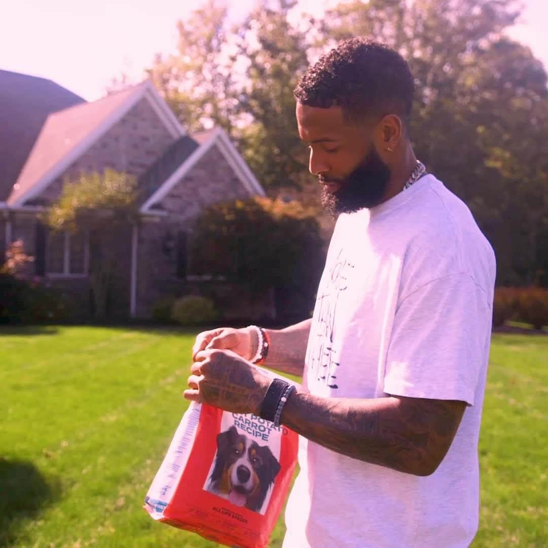 Wal-Mart Stores, Incのインスタグラム：「@obj’s pick is @thinkjinx for 🐶🐶🐶 that deserve to eat like champions! 🏆 Fuel up your pup like every day is game day with a bowl of superfood from Jinx, hitting our shelves soon. Can’t wait? Tap the tags above to shop now! #ThinkJinx」