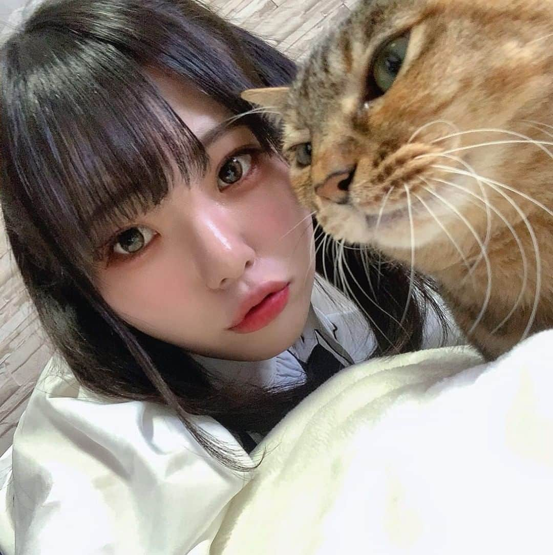 後藤ひなのさんのインスタグラム写真 - (後藤ひなのInstagram)「🐱」2月12日 7時35分 - dela_510