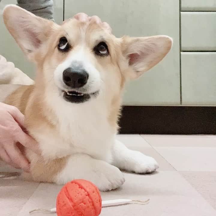 さゆりのインスタグラム