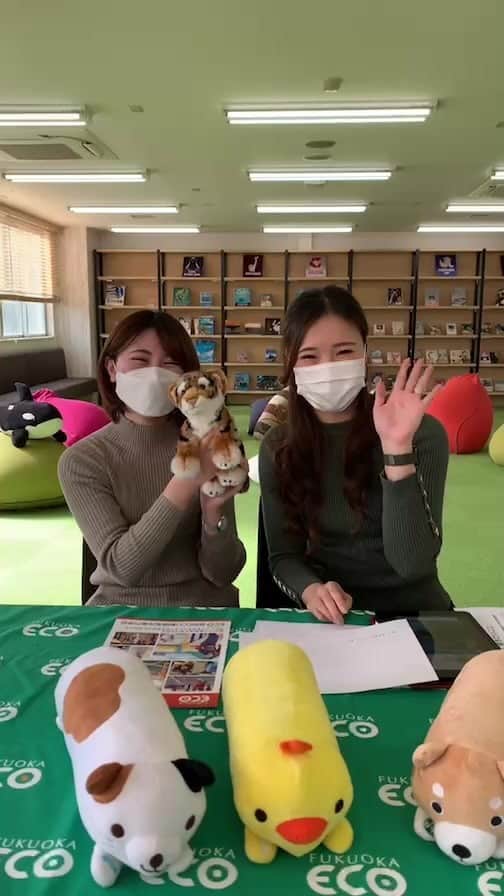 【公式】福岡ECO動物海洋専門学校のインスタグラム：「皆さんからいただいた質問にお答えしていきます🌟」
