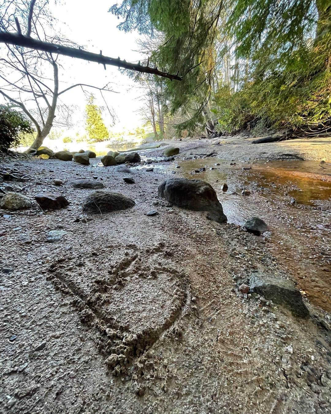 THE BOYZさんのインスタグラム写真 - (THE BOYZInstagram)「Mountaintop yesterday, beachside today 🥰」2月12日 13時33分 - official_theboyz