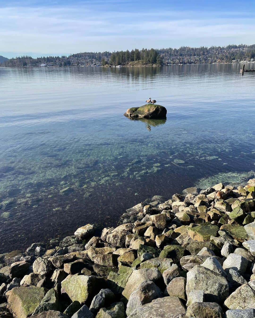 THE BOYZさんのインスタグラム写真 - (THE BOYZInstagram)「Mountaintop yesterday, beachside today 🥰」2月12日 13時33分 - official_theboyz