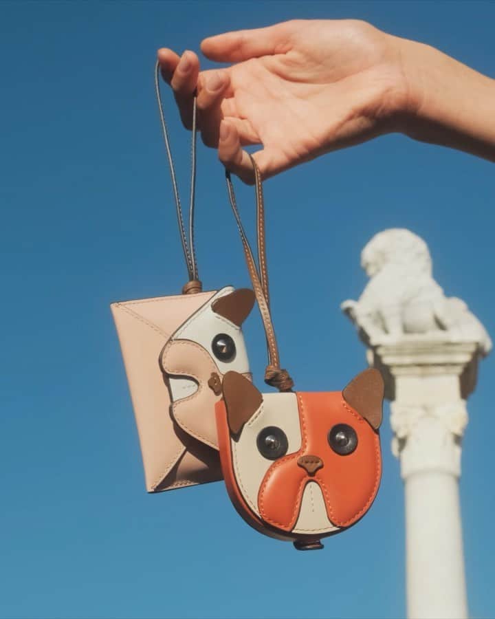 フルラのインスタグラム：「Bow Wow: swing towards a fun carefree attitude by introducing a Furla Coin Case.  #Furlaforever #newcollection #furla #accessories #fashion」