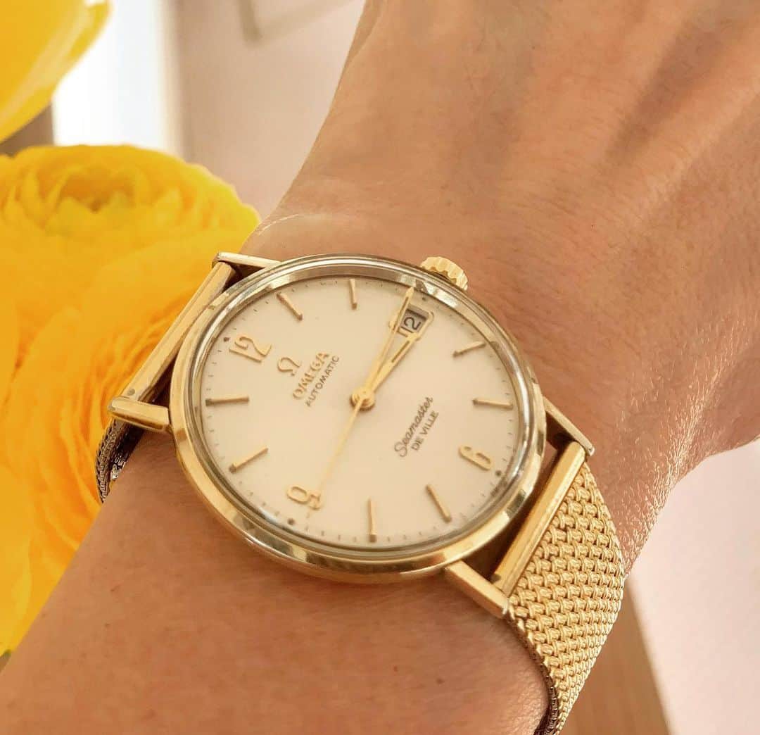 長野智子さんのインスタグラム写真 - (長野智子Instagram)「古びた腕時計。60年以上前のものとのこと。  母が生前大切にしていた父の形見のオメガが出てきたので修理をしたら、元気に動き出しました☺️  あまりにピッタリサイズで改めて親子だなあ。。w  大事に引き継いでいきます。  #形見 #オメガ　#omega  #腕時計 #母」2月12日 15時50分 - naganotomoko