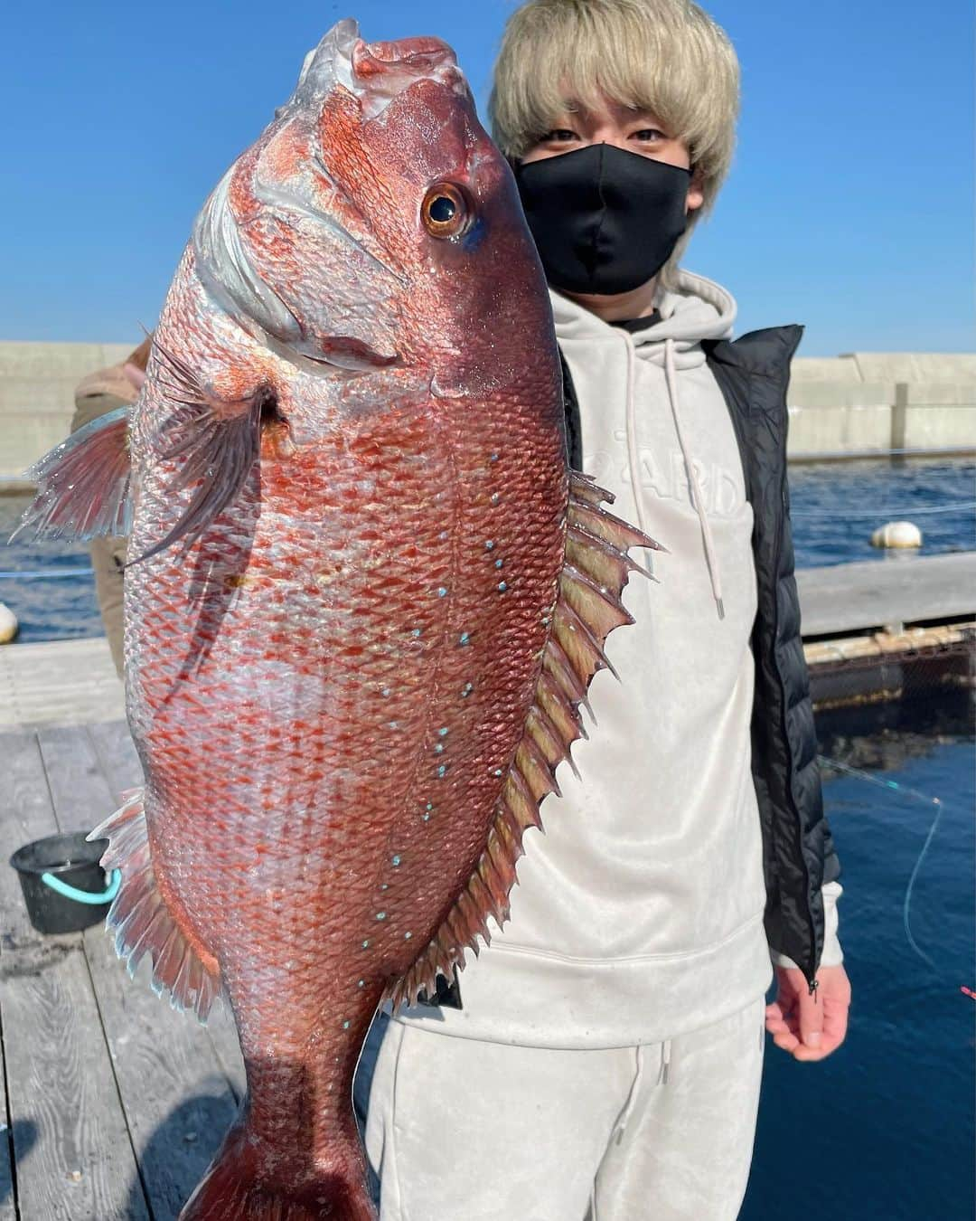 捧さんのインスタグラム：「釣りに連れてってもらいました！ めちゃくちゃデカいタイ釣れた！ サブチャンネル撮ったのでお楽しみに😊  動画でやってみて欲しいことあればコメント下さい！  #釣り楽しかった #魚捌いてみようと思う」