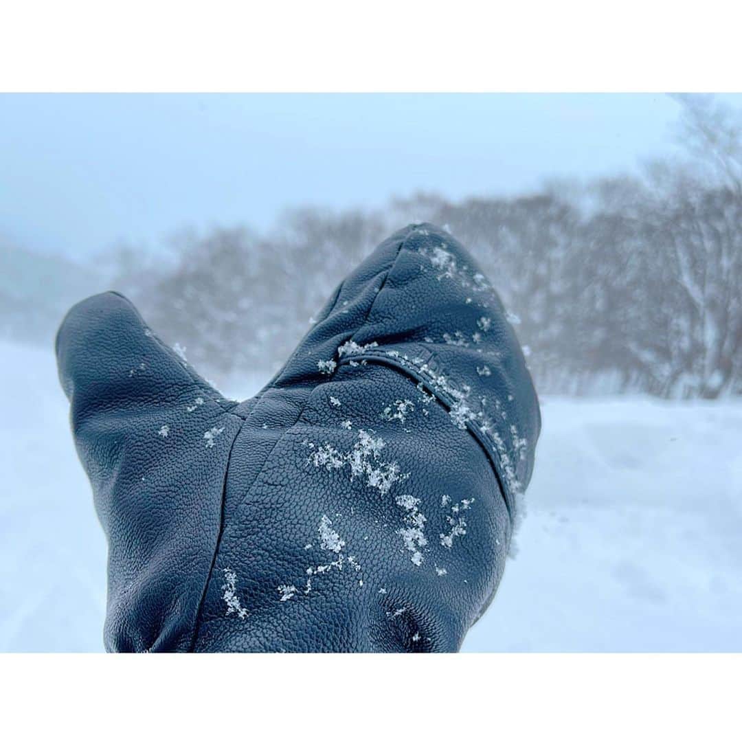 百合華さんのインスタグラム写真 - (百合華Instagram)「#雪遊びに夢中な大人 ❄️🎶☃️  #パウダースノーの妖精 🧚🏻‍♂️  #japan #日本 #北海道 #niseko #ニセコ町  #ニセコヒラフ  #スキーレッスン  #初心者向けコース  #人生２回目のスキー  #パウダースノーに感動  #へっぴり腰とはこのこと  #お友達に感謝とありがとう  #生クリームの上を滑ってる感 #滑り方教えてくれてありがとう  #スキーは滑っている動画でなきゃ #まだハの字で滑ることしかできない #スノボよりスキーの方が滑るの簡単説」2月12日 17時29分 - yurika.lovelily