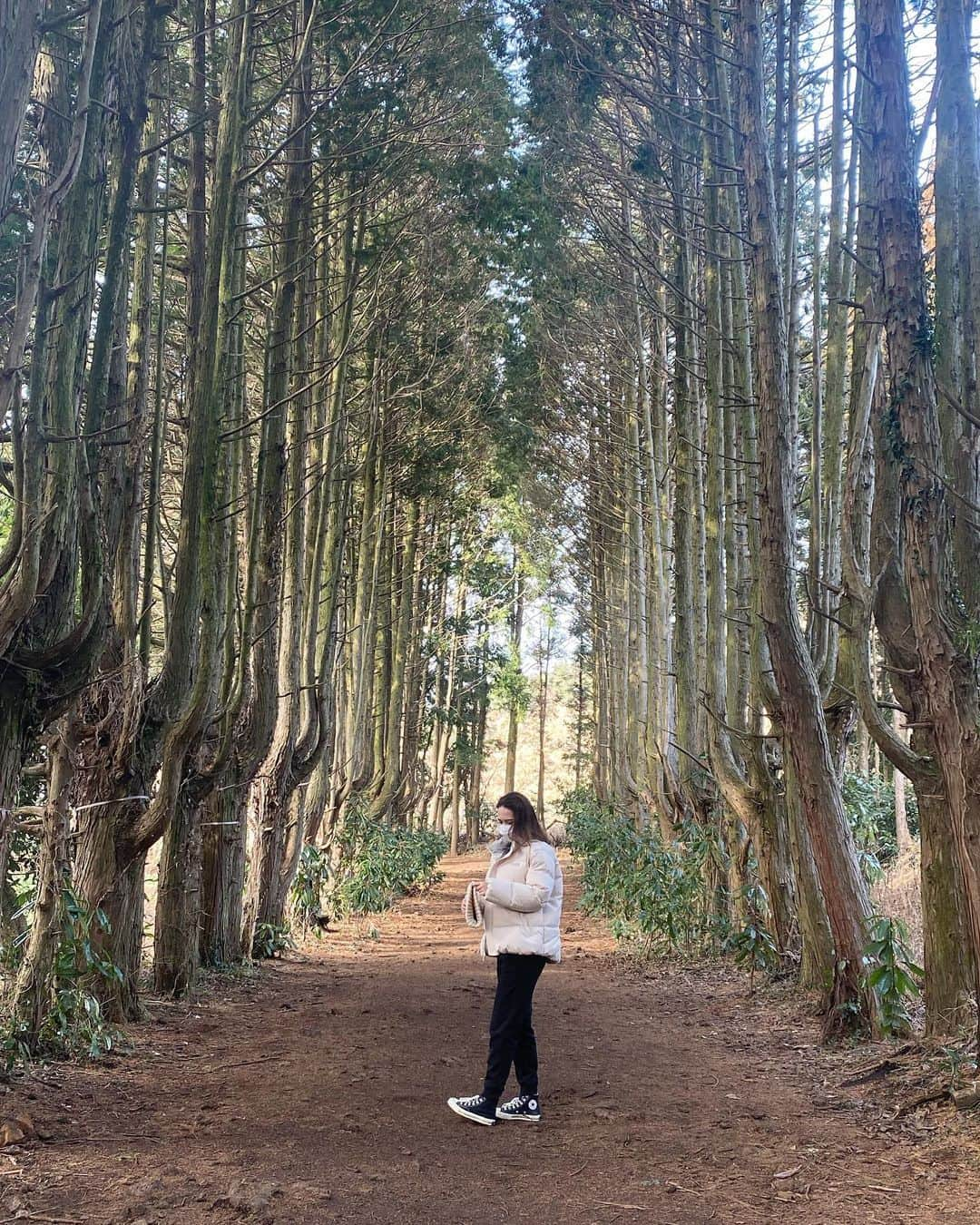 真間玲奈さんのインスタグラム写真 - (真間玲奈Instagram)「温かいときに行きたくて2か月くらい住みたい。そんなチェジュ。🍊　 #첫제주#제주도#제주도여행#힐링#한일부부」2月12日 23時50分 - remachan