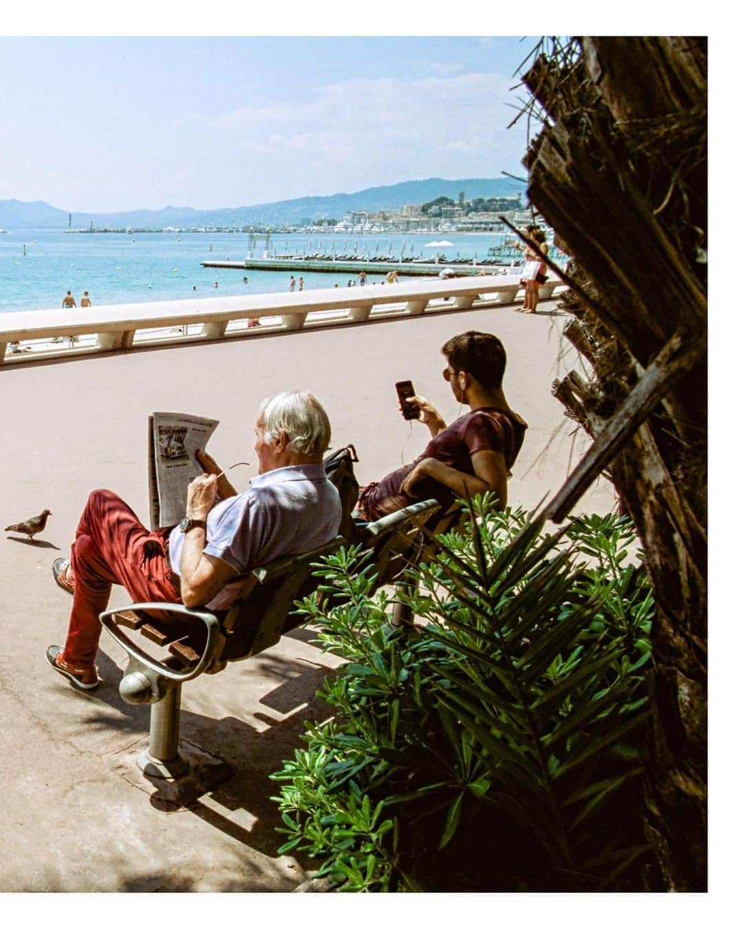 Pete Halvorsenさんのインスタグラム写真 - (Pete HalvorsenInstagram)「The 3rd image from my Cannes series is now minted and live on @superrare.co   With this image we are back on the world famous Promenade de la Croisette. A short story on this image, and what I look for when shooting on the street:  The scene - I noticed this elderly gentleman sitting reading his paper facing the sea...a young man next to him earphones on lost within his phone. Struck by the juxtaposition of the two generations consuming their information differently on the same bench, I composed my frame.  A Lady In Red approached, both generations of "watchers" decided to look up simultaneously and watch her stroll by. This is where the compose and wait technique pays off...  The pieces of the puzzle are all laid out, it's my job as the storyteller to put them together for the viewer, so without a caption - can the story can still be told?  Can the frame speak for itself?   Colour for me is a big part of that story.  Shooting on film, while more difficult to "quickly review" images creates creative guardrails that allow for the photographer to work within. @cinestillfilm 50D is one of those that compliment my love of bright blues/deep reds...it pairs nicely with a day walking around Cannes.  This is where compose and wait comes in, I had his red pants on one side, just needed something to connect it to. The woman in the dress approached...gave me colour connection for the viewers eye to go back and forth between the two sides of the frame.  Colour...composition...patience, and a bit of luck. Proud to add the 3rd image from a summers day in Cannes...through the eye of my @leica_camera M7 rangefinder, the light frozen in time on CineStill Film and now minted on the blockchain and available as a 1/1 on @superrare.co」2月13日 2時34分 - petehalvorsen