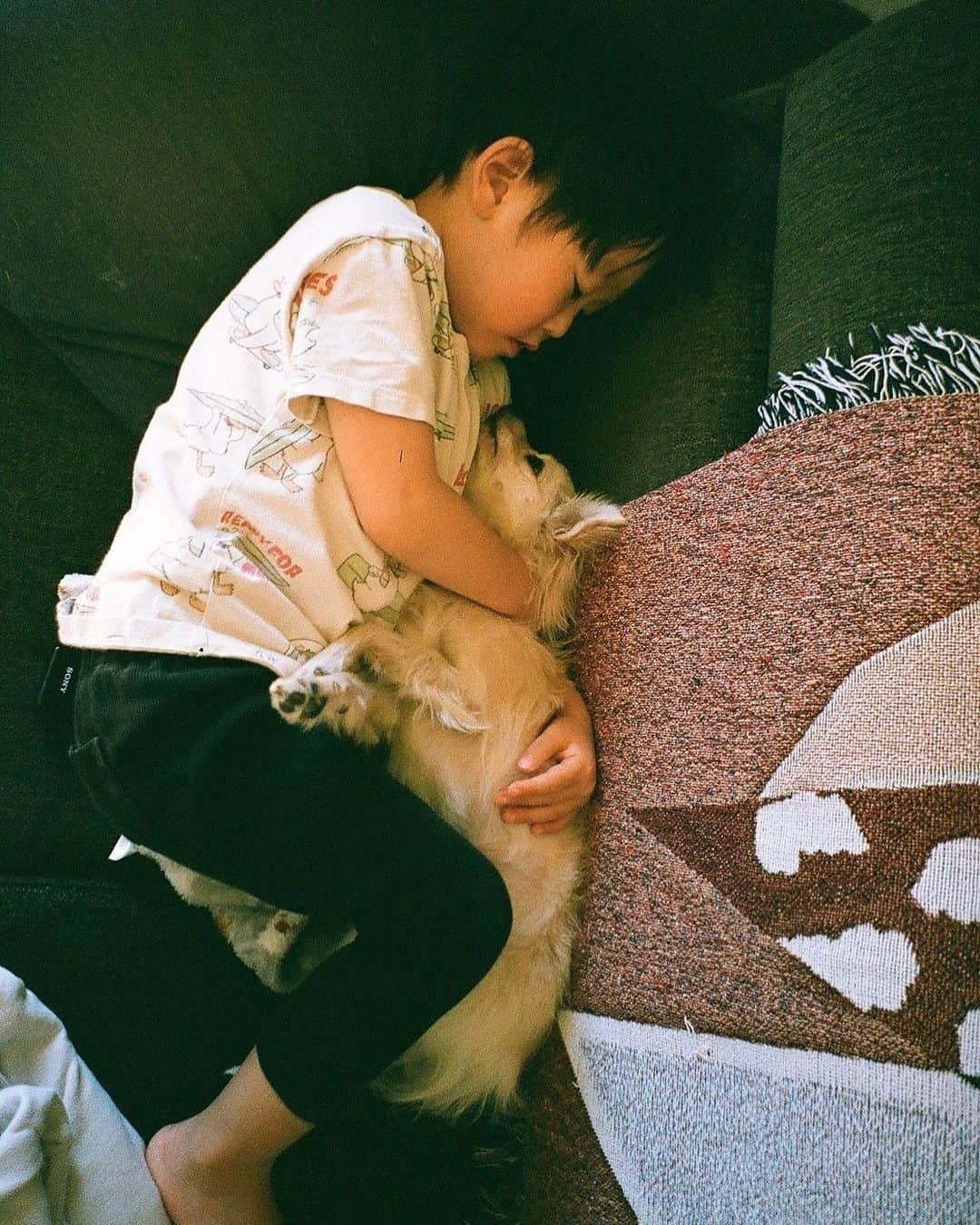 花盛友里のインスタグラム：「🐕👶🌱  #エルピピ #3歳」