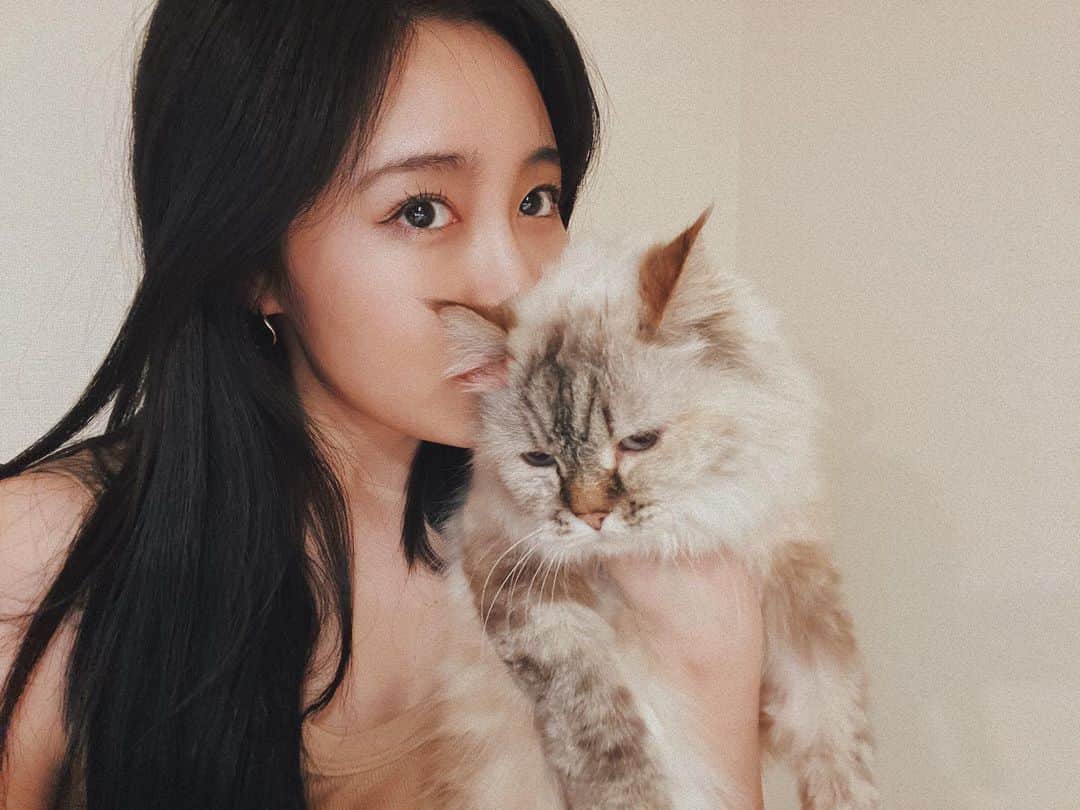 鷲尾伶菜のインスタグラム：「freivor会員限定の 待ち受け 毎月更新しています。 是非😌」