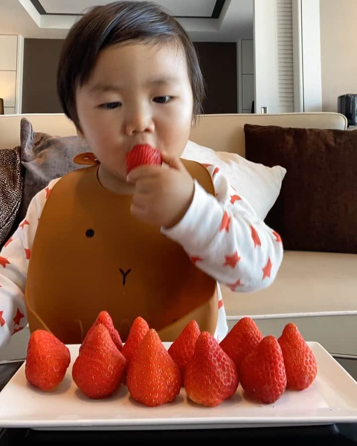 Mai Wakimizuのインスタグラム：「息子と苺♡笑 1枚目は、1パックを1人で完食するタイムラプス。笑 早くて分かりにくいけど、最後youtuberっぽく完食したお皿を画面に見せて、エプロン外して手を合わせてご馳走様してるの♡苺を見ると"おぉー！"と喜ぶし、1個貰おうとしても絶対くれない。笑 間違いなく息子の1番の好物は苺！とりあえず毎日苺食べ過ぎでお腹凄い。笑 #1歳6ヶ月#1歳男の子」