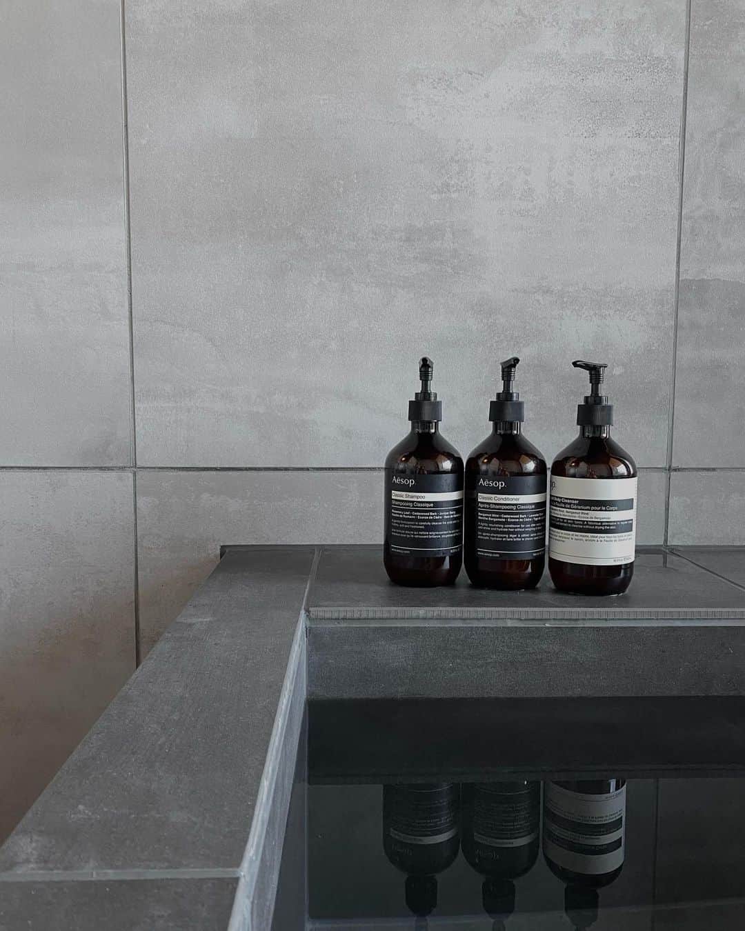 HARUEのインスタグラム：「🛁💭  二条城が見えるお洒落なバスルーム。🤍  シャンプーやハンドソープが  @aesopskincare なのも嬉しかったな♡  #bathroom」