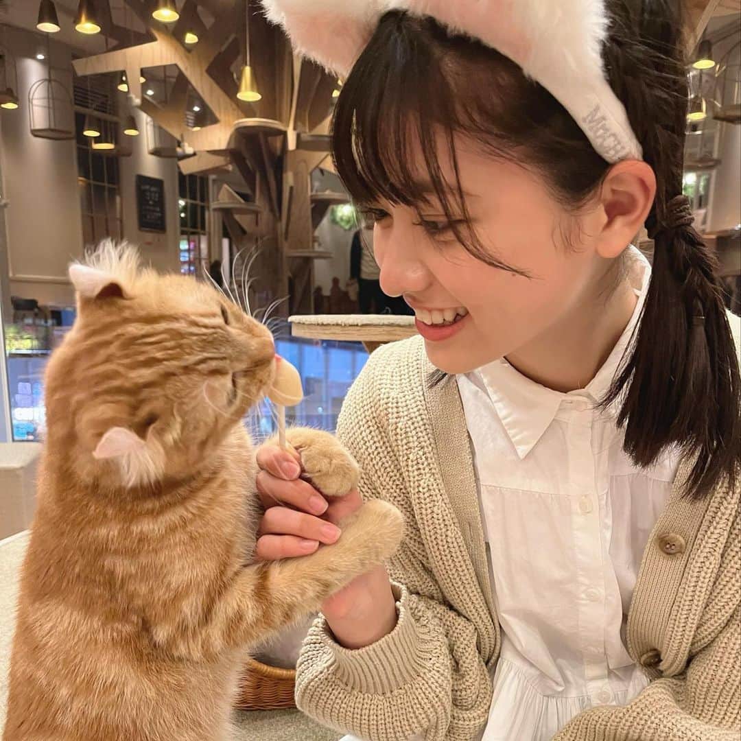 凛美さんのインスタグラム写真 - (凛美Instagram)「◡̈ ⁡ 研音のYouTube企画で 尾崎さんと猫カフェに行った時の写真🎁 ⁡ ⁡ りみはこの子と仲良くなりました☺︎ ⁡ ずーっと癒されていたので、 終始ゆるゆるな動画になってしまいました笑 ⁡ ⁡ ⁡ ⁡ ⁡ みなさんもこの猫ちゃんで癒されて 明日からまた1週間頑張りましょう~✊ ⁡ #研音#研音YouTube#猫カフェ#mocha#尾崎由香　さん #ニコラ#nicola#ニコラ3月号発売中#中3モ#3月号#ニコラモデル#中3#jc3#LJC#凛美#りみすまいる」2月13日 19時53分 - rimi_kenon_official