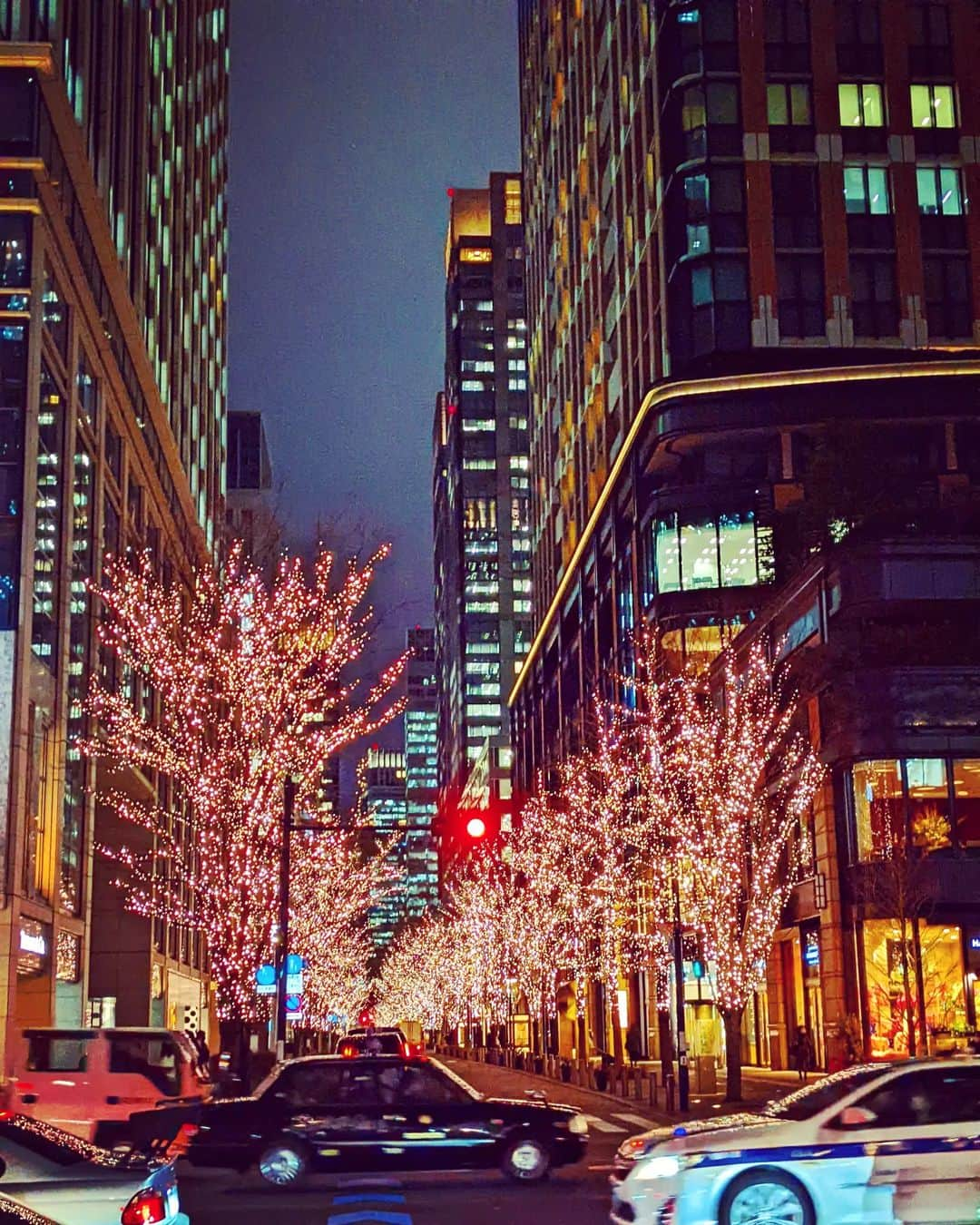 華耀きらりのインスタグラム：「信号待ちに美観を鑑賞。 寒いからこその景色  Happy Valentinesday!!  #happyvalentinesday #tokyo #美観」