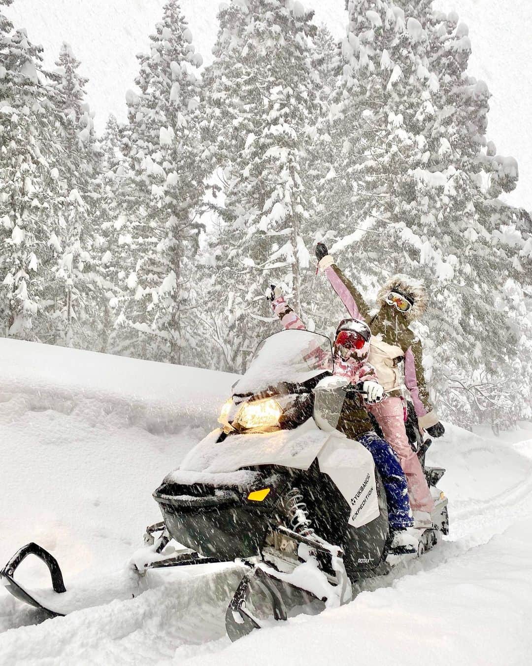 Yuuさんのインスタグラム写真 - (YuuInstagram)「『自然塾冬の陣』 スノーモービルの巻〜！！！  これ体験したことある人いる？？ めちゃめちゃ面白いのね！‧˚₊*̥(∗︎*⁰͈꒨⁰͈)‧˚₊*̥ ジェットスキーとかバイクとは一味違う、滑りながら進むってのがめっちゃ楽しかった❣️  しかも雪たくさん降っててふわっふわ⛄️  雪景色の森の中は本当に幻想的で、今まで見たことのないパノラマ❄️ 最高の感動が味わえたよ🥺💕  ここは上越妙高の【 @yukibancho_japan 】のスノーモービルツアーで体験できるよ🤩 3月末ごろまでやってるみたい♬  @rumi_official_0616 さんがいっぱい動画撮ってくれた❤️  #新潟県冬の観光 #上越妙高 #雪番長スノーモービル #自然塾 #冬遊び　 #YUKIBANCHO #snowboard #snowmobile #nihgata」2月14日 18時24分 - yuu1115yuu