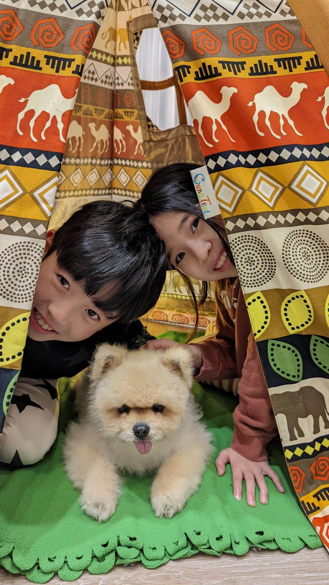 のインスタグラム：「謝謝毛毛叔叔Tiff 阿姨的捨得 讓Kirby 週末來家裡陪小豬羊 除了窒息式的緊黏不放😅 備餐食、遛狗、遊戲、鋪床、清潔、便溺⋯都搶著做  兩天下來  小羊：我本來只有一點點想養狗，現在更想了，但是只有Kirby 可以。  小豬：我覺得養狗狗有點累，我還是養昆蟲就好，不過如果是Kirby 我願意。  （Kirby才是最累的吧？回到自己家就睡翻了）  昨晚我們睡前聊天 他們各自講了一些話給他 覺得很可愛值得留念 尤其小豬啦～一說要跟Kirby 講話馬上變娃娃音😆」