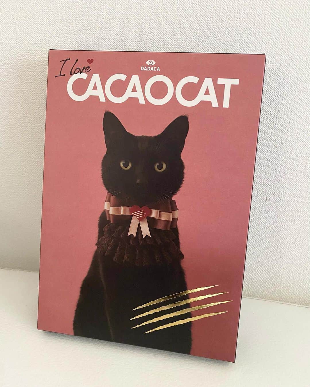 藤あや子さんのインスタグラム写真 - (藤あや子Instagram)「白金の『CACAO CAT』でバレンタインチョコをGET✨ いつもお世話になっている番組のスタッフさんにプレゼントしま〜す💝🐈‍⬛ #バレンタイン #チョコレート #cacaocat  #可愛くて美味しい」2月14日 12時52分 - ayako_fuji_official
