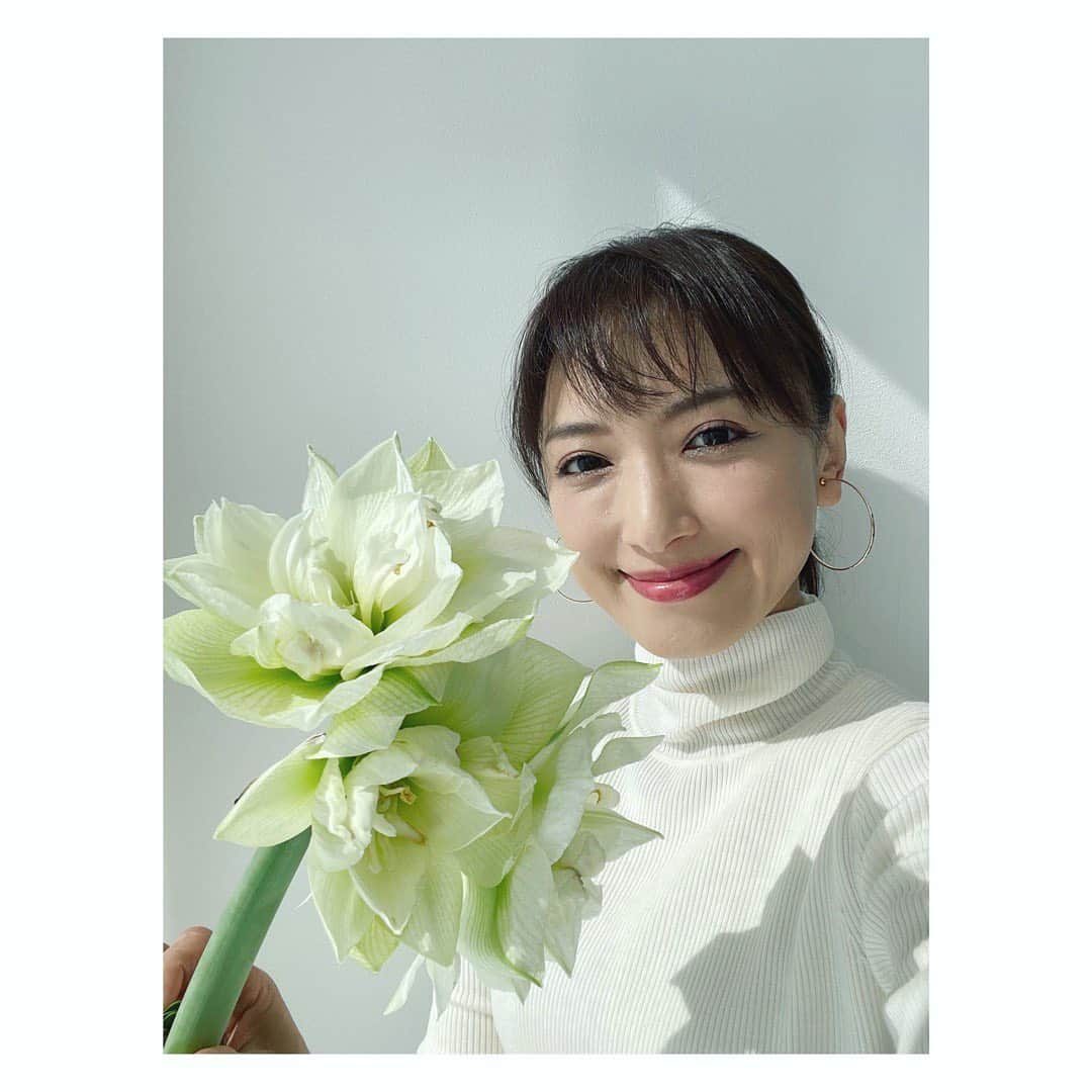 望月理恵さんのインスタグラム写真 - (望月理恵Instagram)「白のアマリリスが咲きました。 しかもまだま蕾があって楽しめ そうです。  　 そして、とりあえず ハッピーバレンタイン❤️  #アマリリス#花生活 #花好き#球根楽しい #バレンタイン #よかったらyoutubeみてください  #バレンタインの思い出を語ってます☺️」2月14日 15時52分 - mochiee28