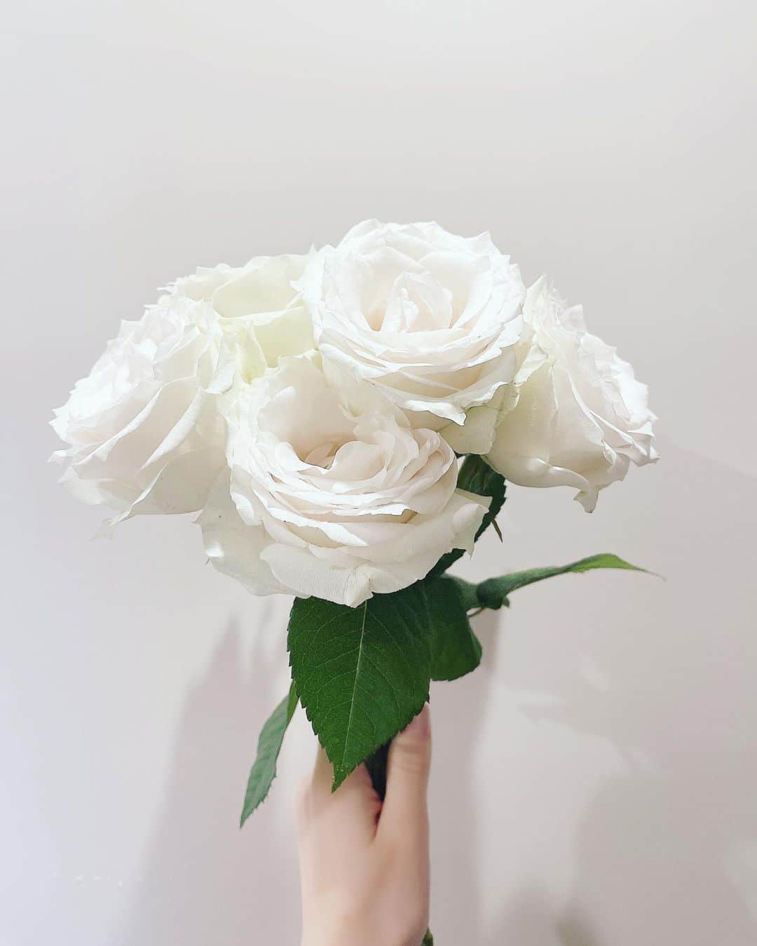 ダレノガレ明美さんのインスタグラム写真 - (ダレノガレ明美Instagram)「Happy Valentine’s Day🌹」2月14日 19時40分 - darenogare.akemi