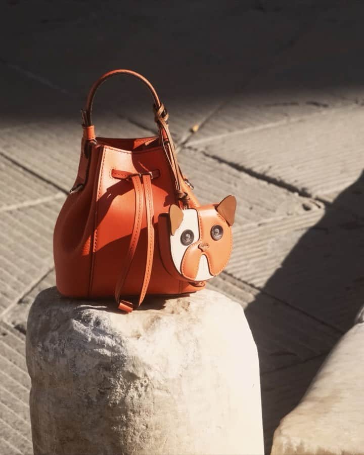 フルラのインスタグラム：「The new Furla MiaStella Mini and the Allegra Bulldog Coin Case are meant to be. Grab yours.  #Furlaforever #newcollection #furla #accessories #fashion」