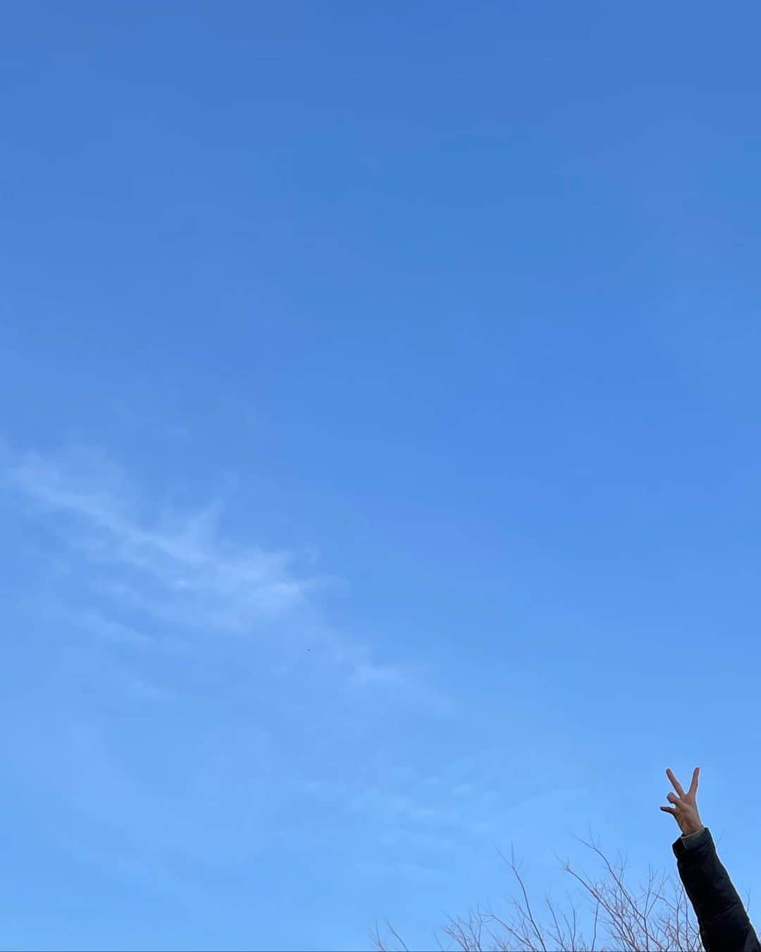 田鍋梨々花さんのインスタグラム写真 - (田鍋梨々花Instagram)「・ 🍫」2月14日 20時08分 - ririka_tanabe_official